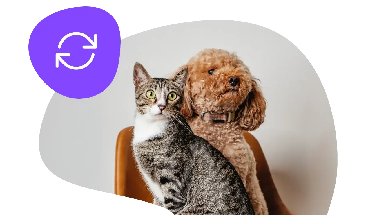 Subscribe & Save Banner Image