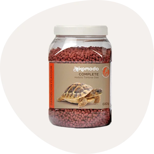 Tortoise Food