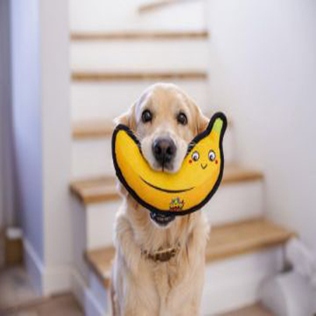 BAM! Bamnip Find It Banana - Image 2