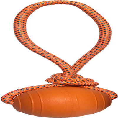 Floating Ball with Rope Dog Toy