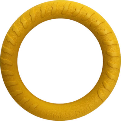 Floating Ring Dog Toy